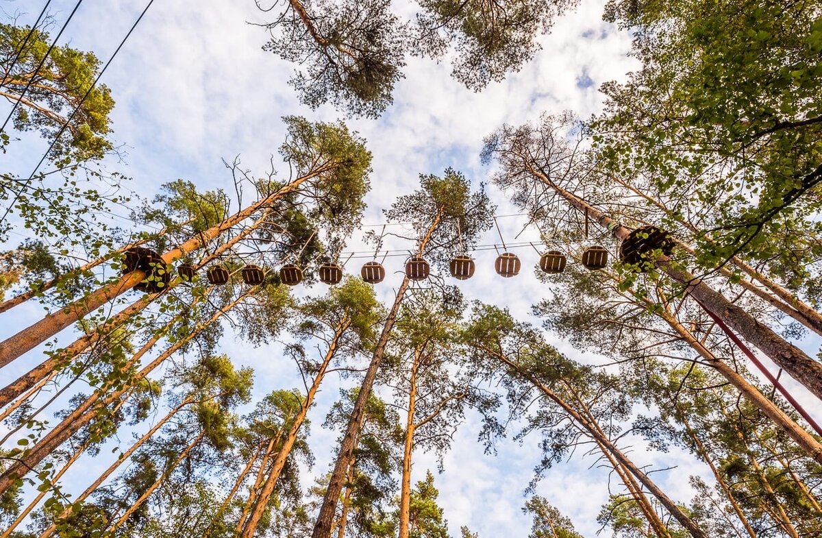 Фото с сайта https://vk.com/razdolyepark