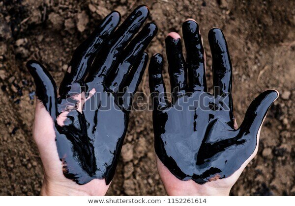 Фото из свободных источников интернета Яндекс.картинки