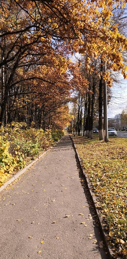 Осень в моем родном городе.