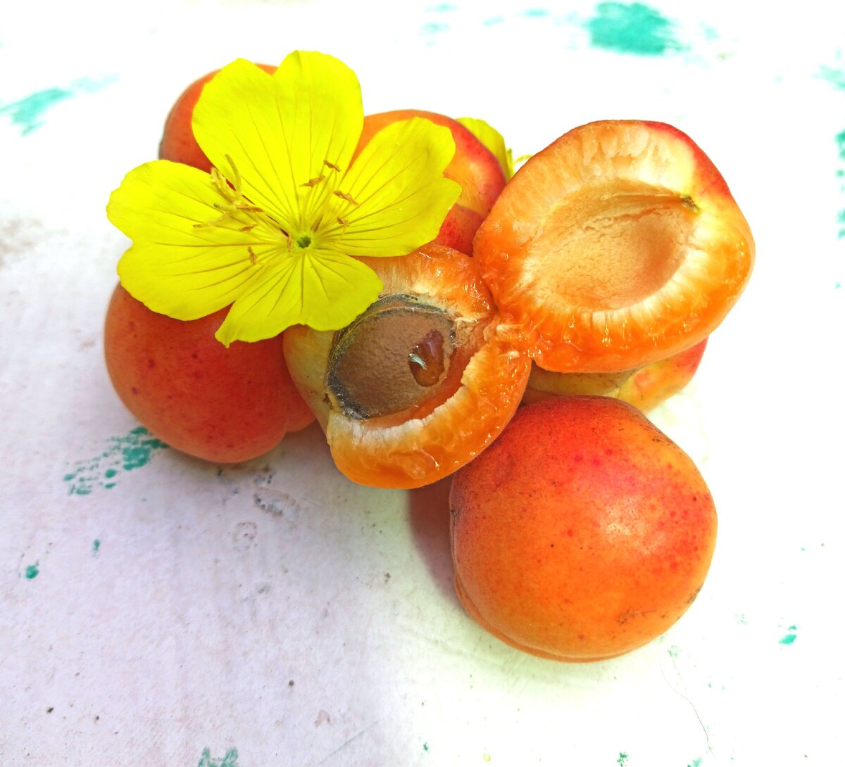 Абрикосы. фото автора текста