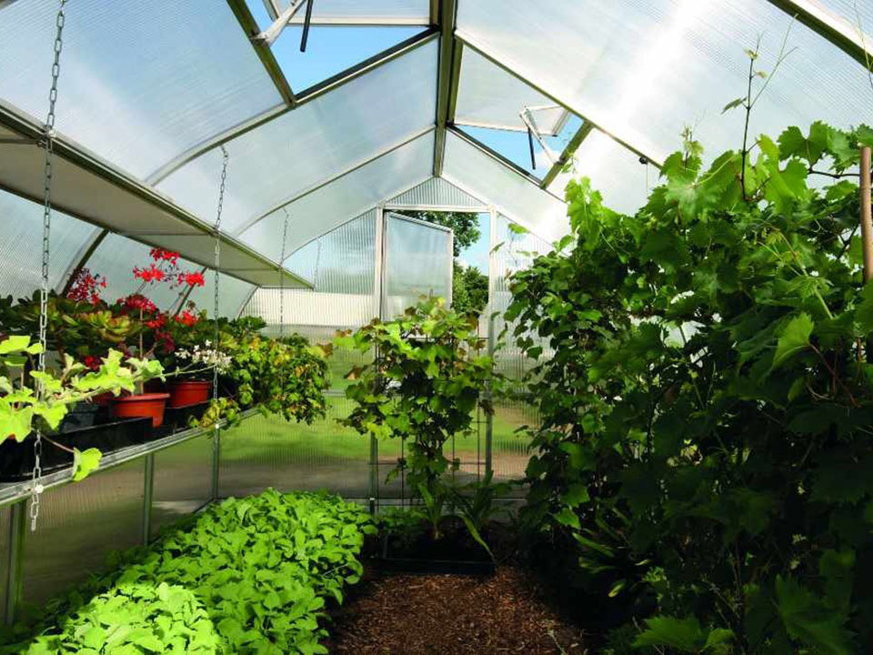 Теплица изнутри фото. Теплица Greenhouse внутри. Green House оранжерея Южнопортовая 21с20. Теплицина внутри. Красивая теплица внутри.