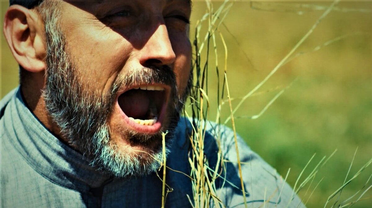 Кадр из свободных источников «Невиновен» (2019)