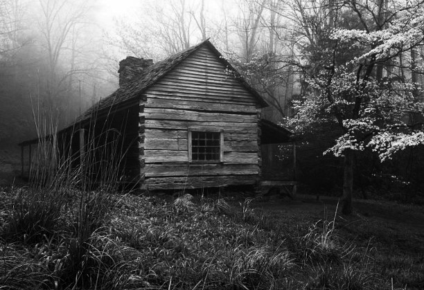 фото взято из источников интернета