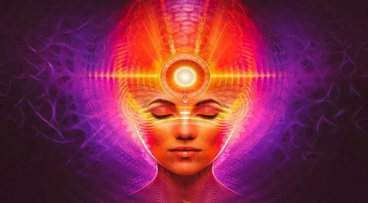 Изображение из открытого источника Яндекс Картинки.