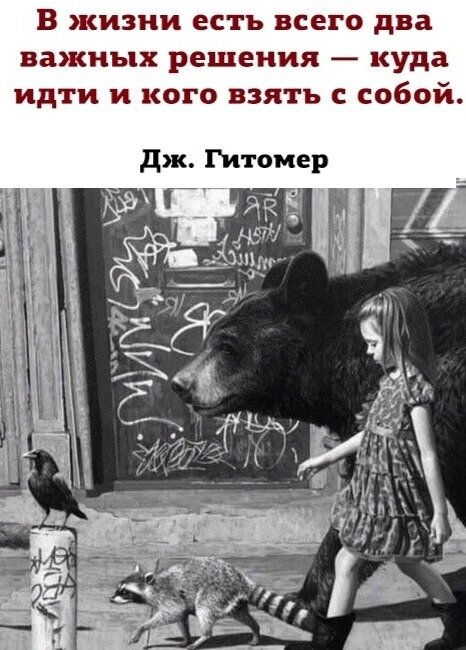 Картинка взята из свободных источников.