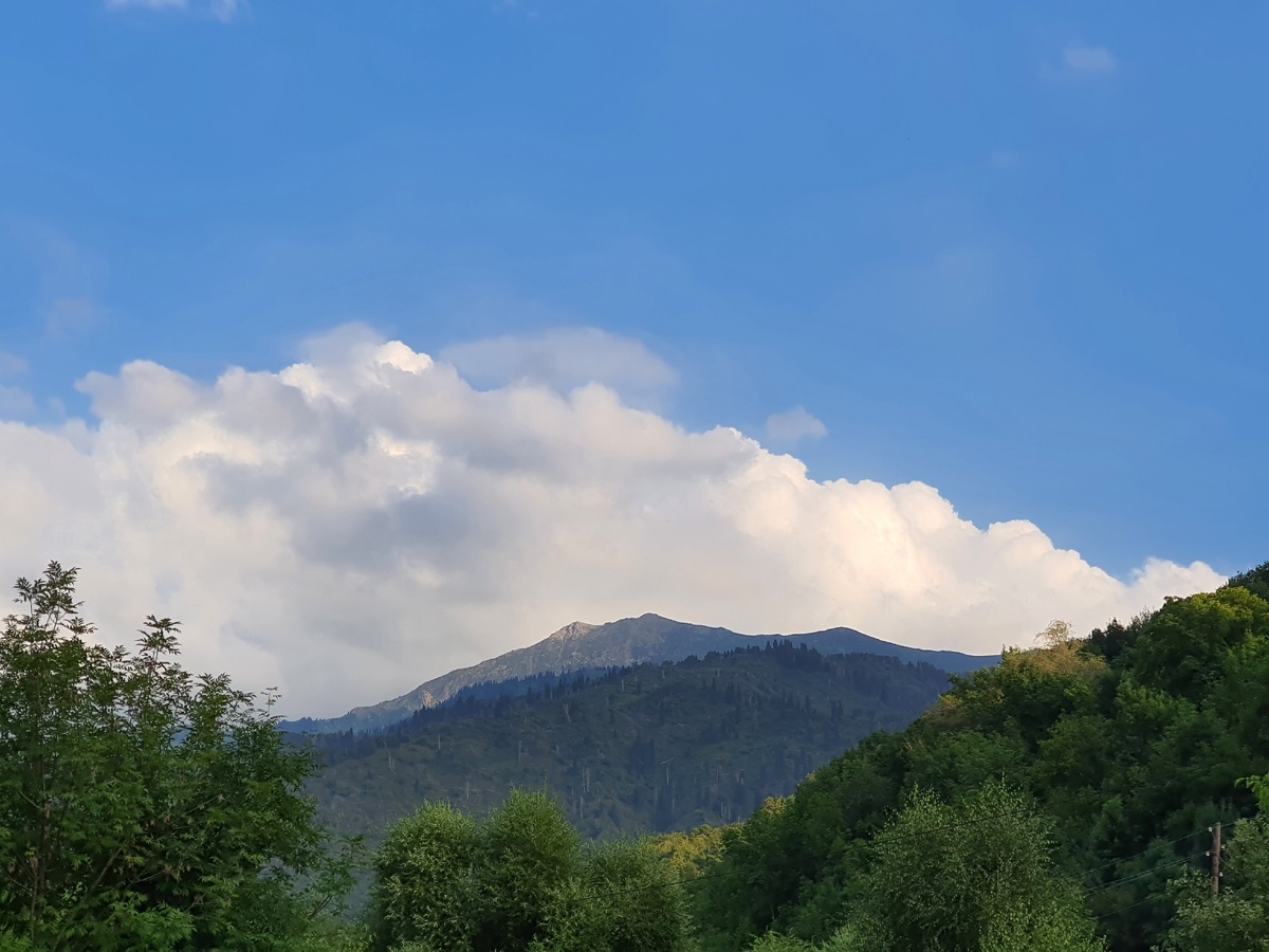 Творю свою реальность