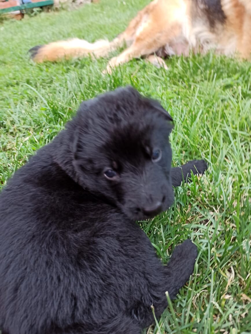 Я ещё такой маленький.....