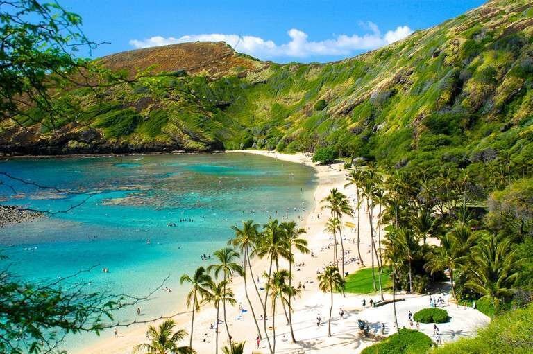 Гавайи (о. Оаху) https://yandex.by/collections/card/5bae393b2be607007a539821/