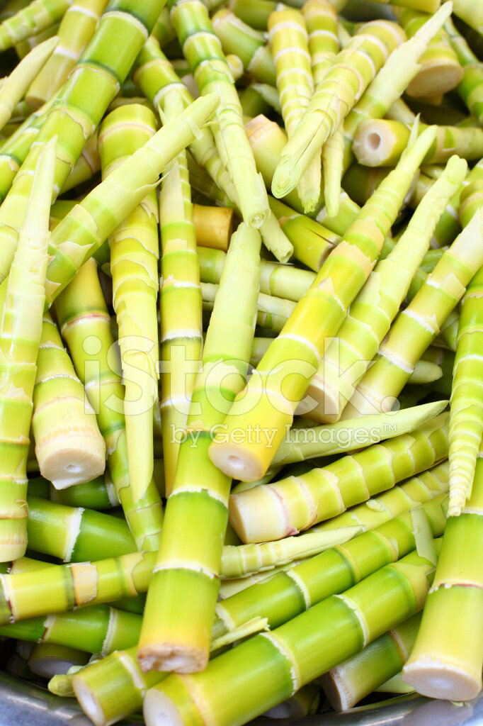 Побеги бамбука - https://images.freeimages.com/images/premium/previews/1834/18342740-bamboo-shoots.jpg