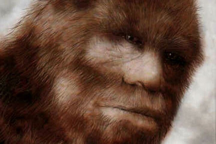 Фото взято из источников интернета 