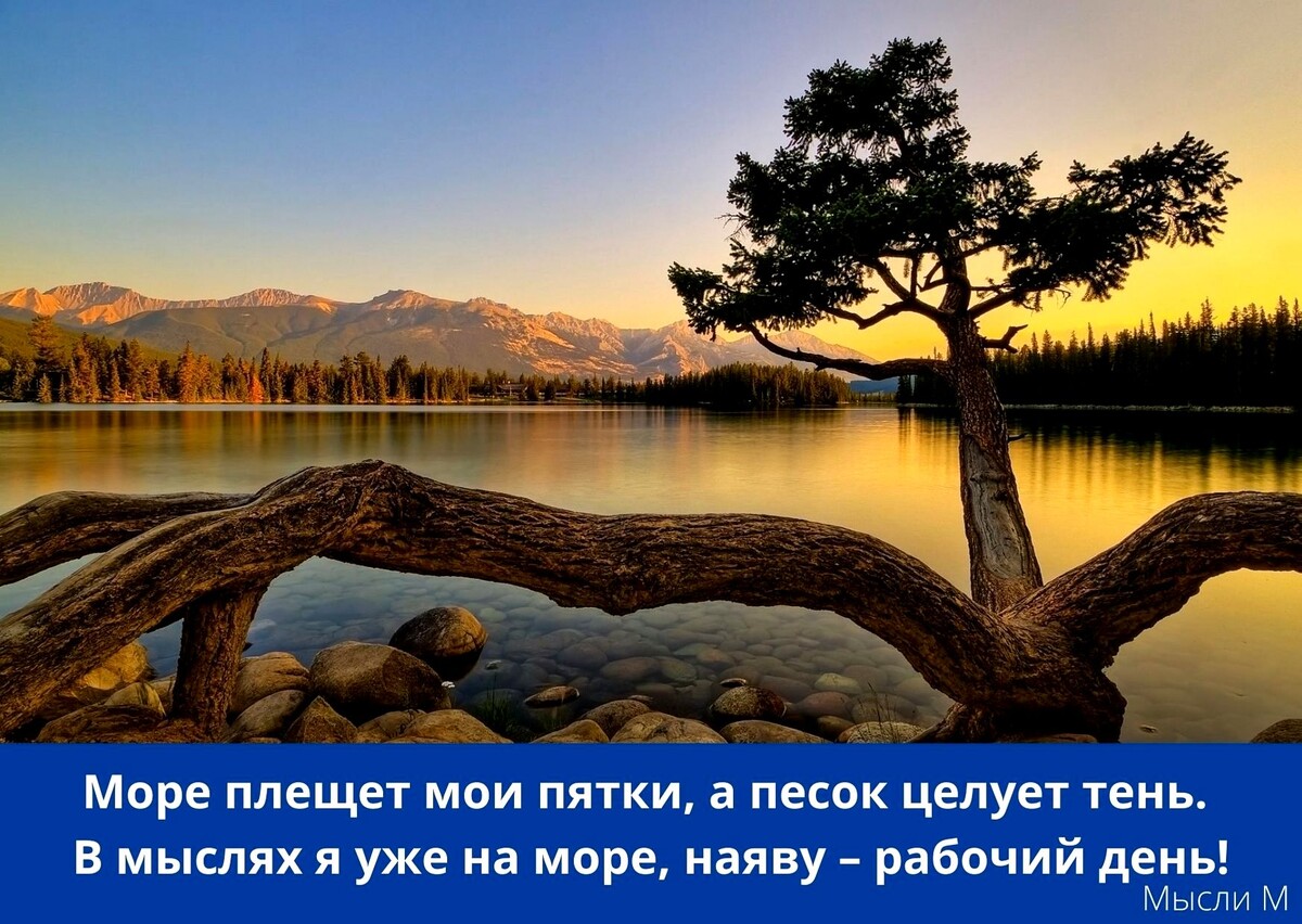 Отдыхать хорошо, а дома лучше