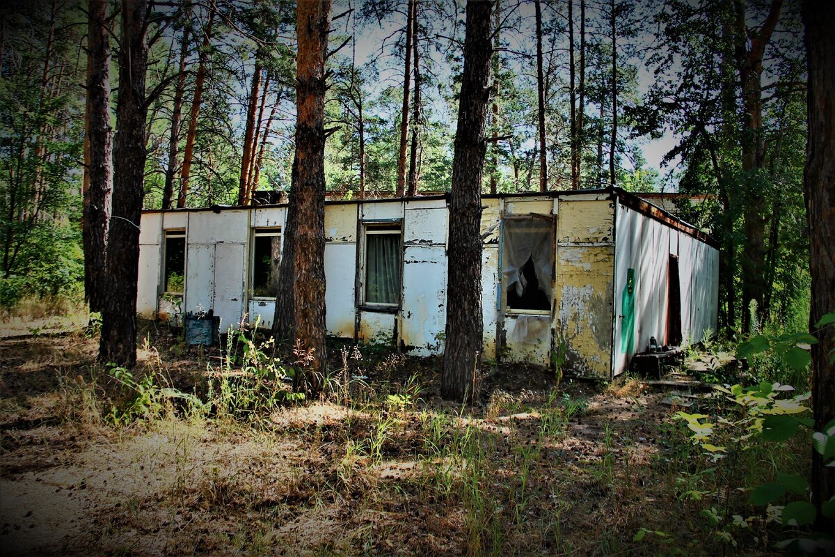 70 дол. Пионерский лагерь Гайдаровец пешки. Пионерский лагерь ветерок Ленинградская обл. Пионерский лагерь Спутник Самара. Пионерский лагерь Зорька.