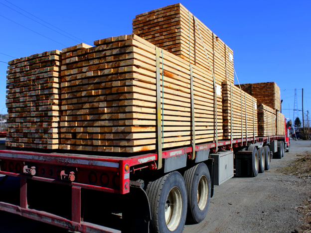 Фото: Из свободного источника.