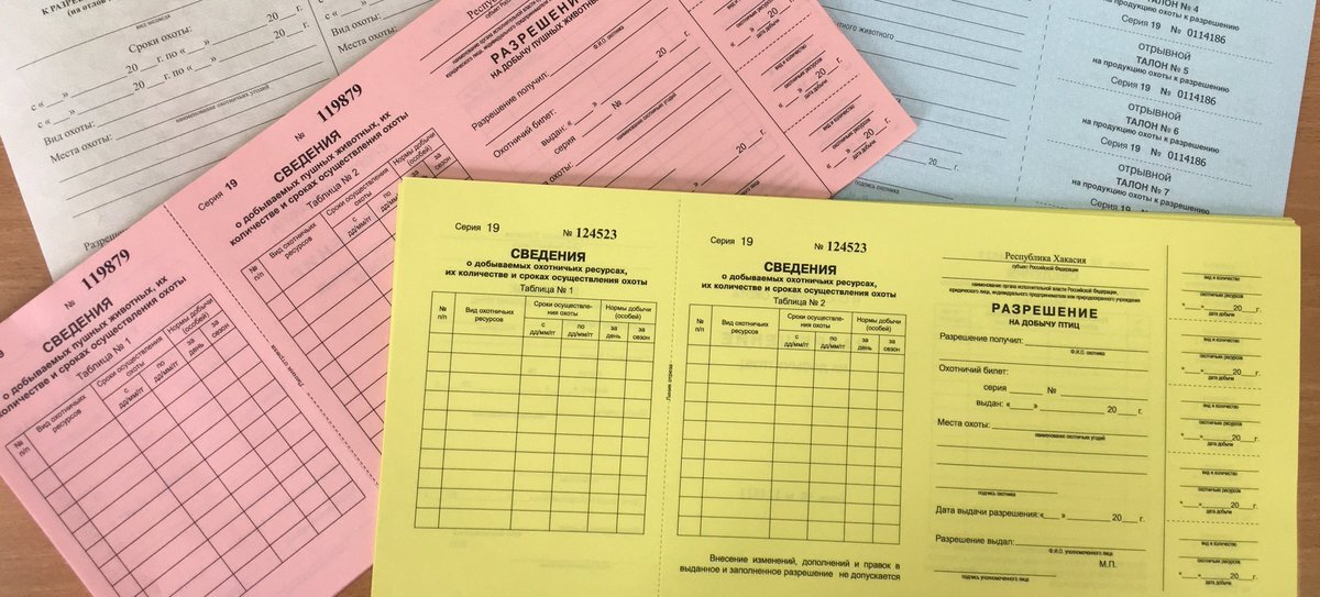 Лицензия на добычу охотничьих ресурсов. Разрешение на добычу охотничьих ресурсов. Разрешение на добычу птиц. Форма бланка разрешения на добычу охотничьих ресурсов. Сдать разрешение на добычу.