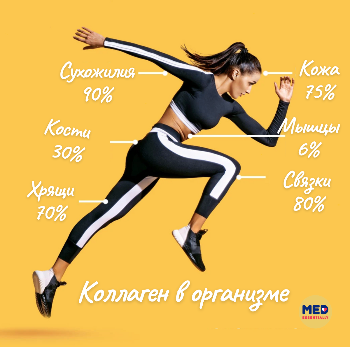 Концентрация коллагена в тканях человеческого организма.