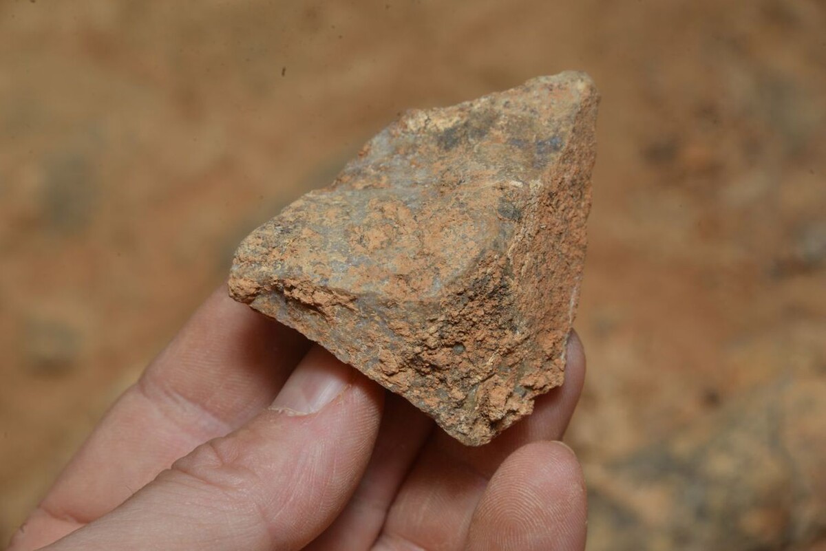 Новое открытие заполняет пробел в истории человеческой эволюции Atapuerca 