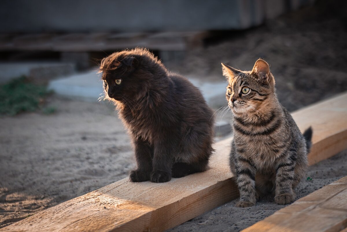 Фотограф Виктор Водолазький, снято на #Lumix S1R 