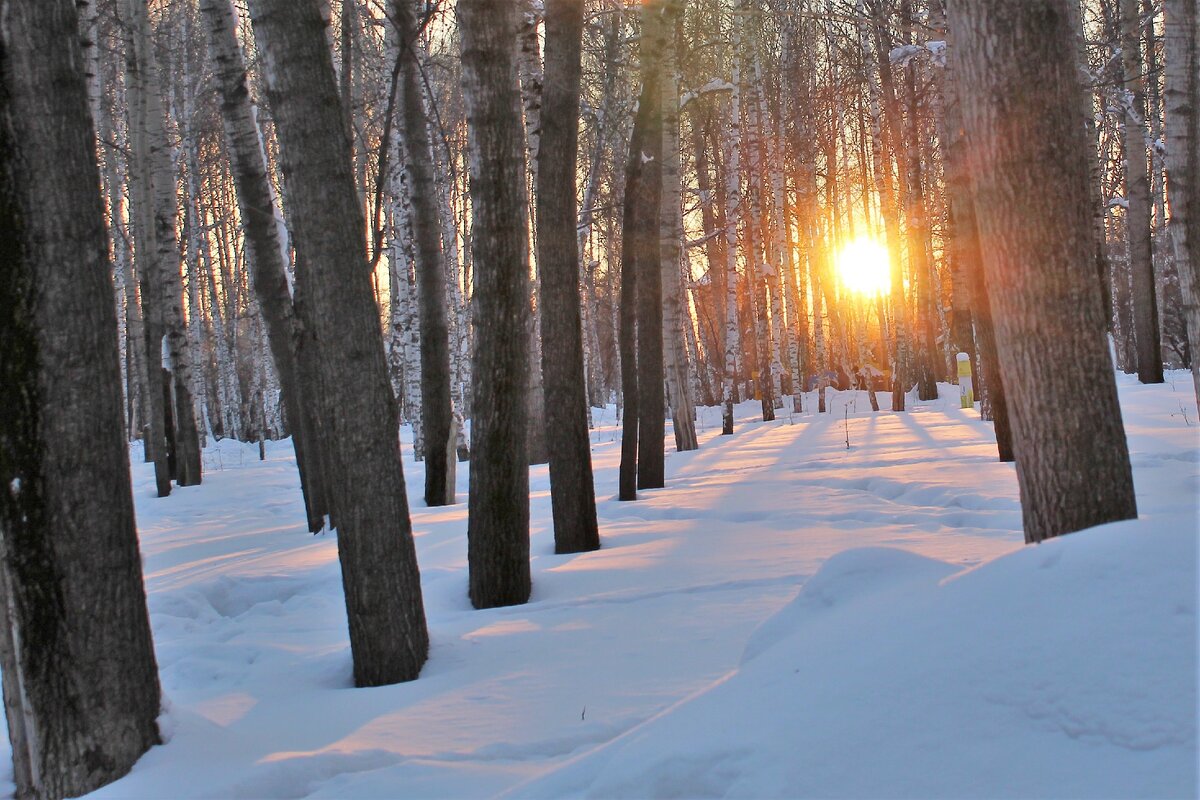 Зимний пейзаж