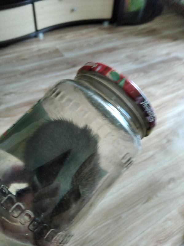 Фото: «Сейчас в Чите» в «ВК»