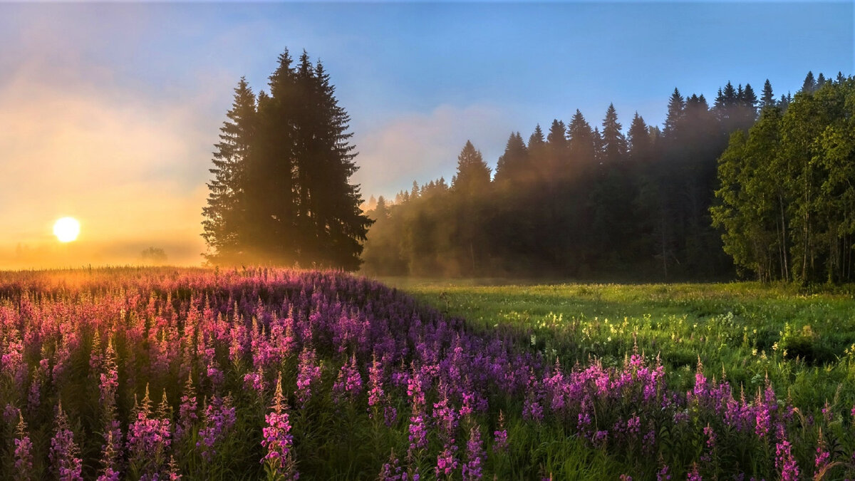 фото  взято с просторов интернета, благодарю автора за снимок