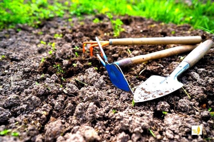 Золотые руки