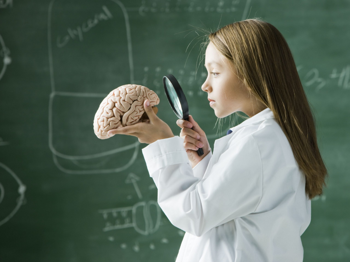 Деятельность связанная с биологией. Мозг ребенка. Интеллект ребенка. Интеллектуальные и умственные способности. Урок биологии.