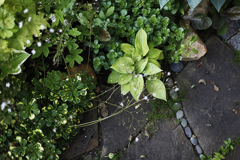 Листайте галерею