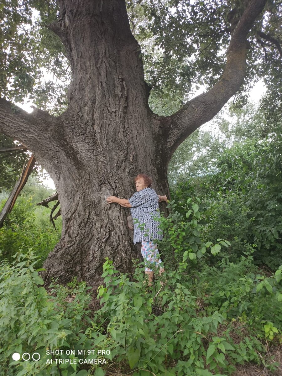 Нашли вот такого гиганта.