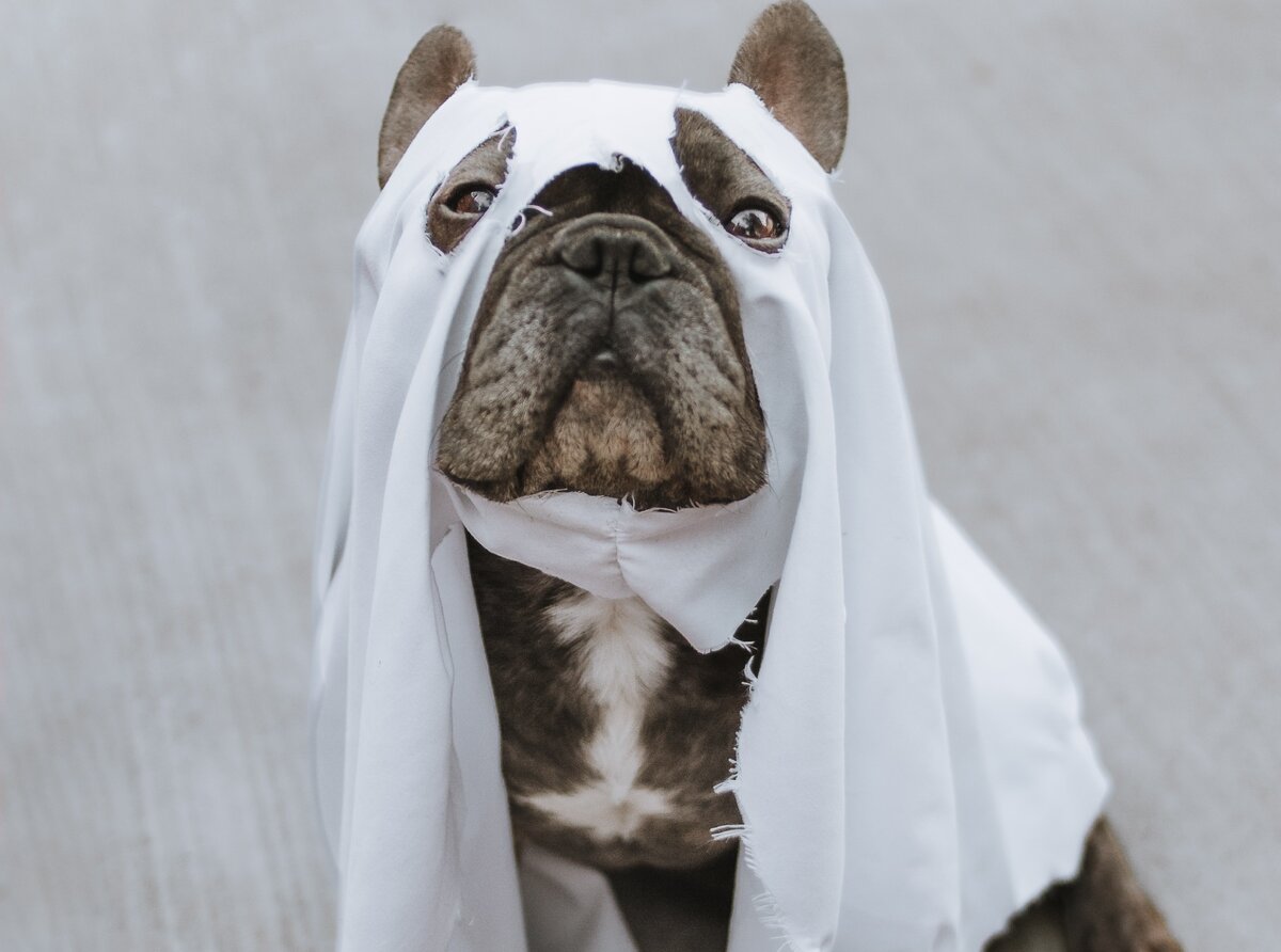 Photo by Sarah Boudreau on Unsplash