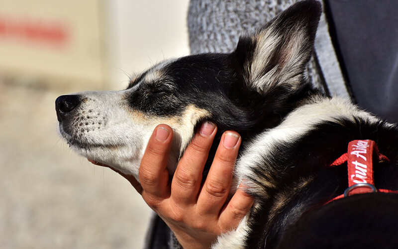 Сокращение риска нежелательного размножения
