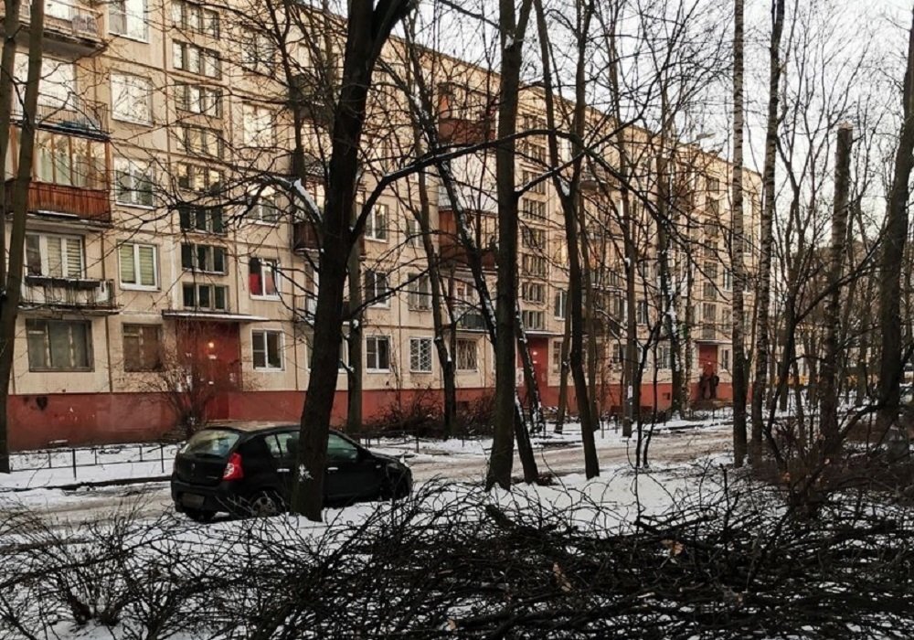 Рубка деревьев на Будапештской улифе. Фото И. Зайцевой в ВК-группе "Деревья Петербурга" 