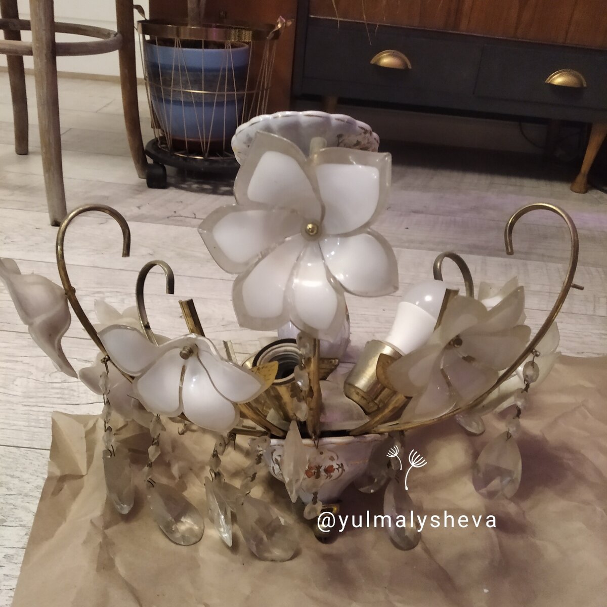 Вот такую побитую жизнью красотку притащила домой 