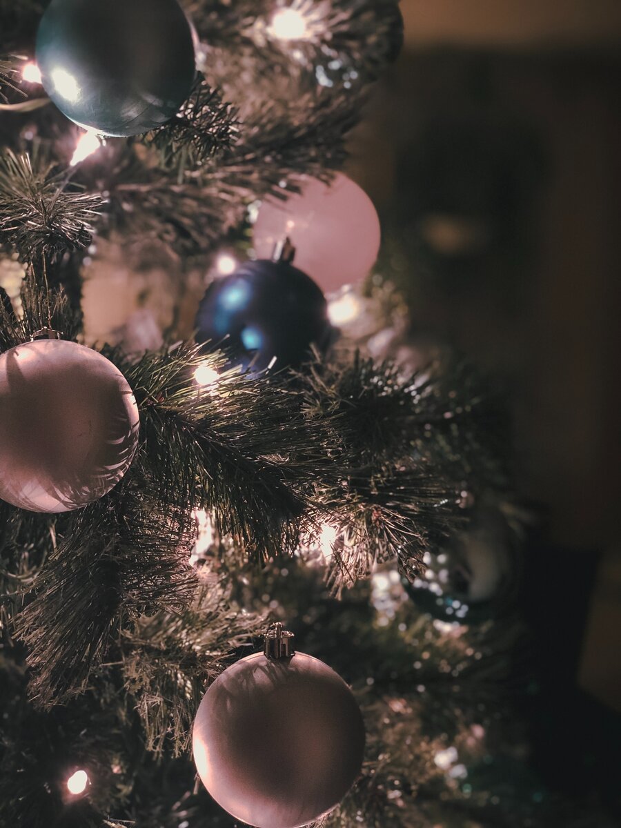 Photo by Danny Castaneda on Unsplash 
