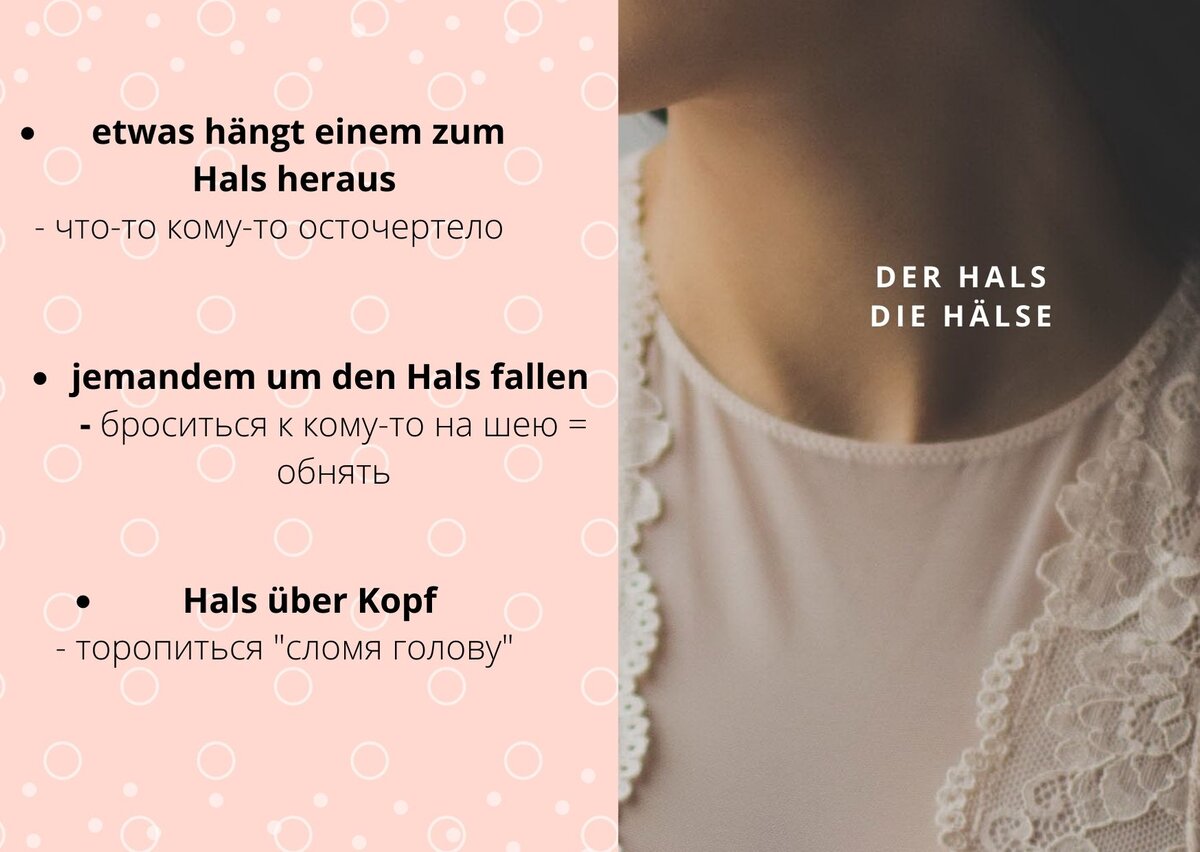 Части тела на немецком языке пословицы и поговорки Sveta Rudek немецкий язык Дзен