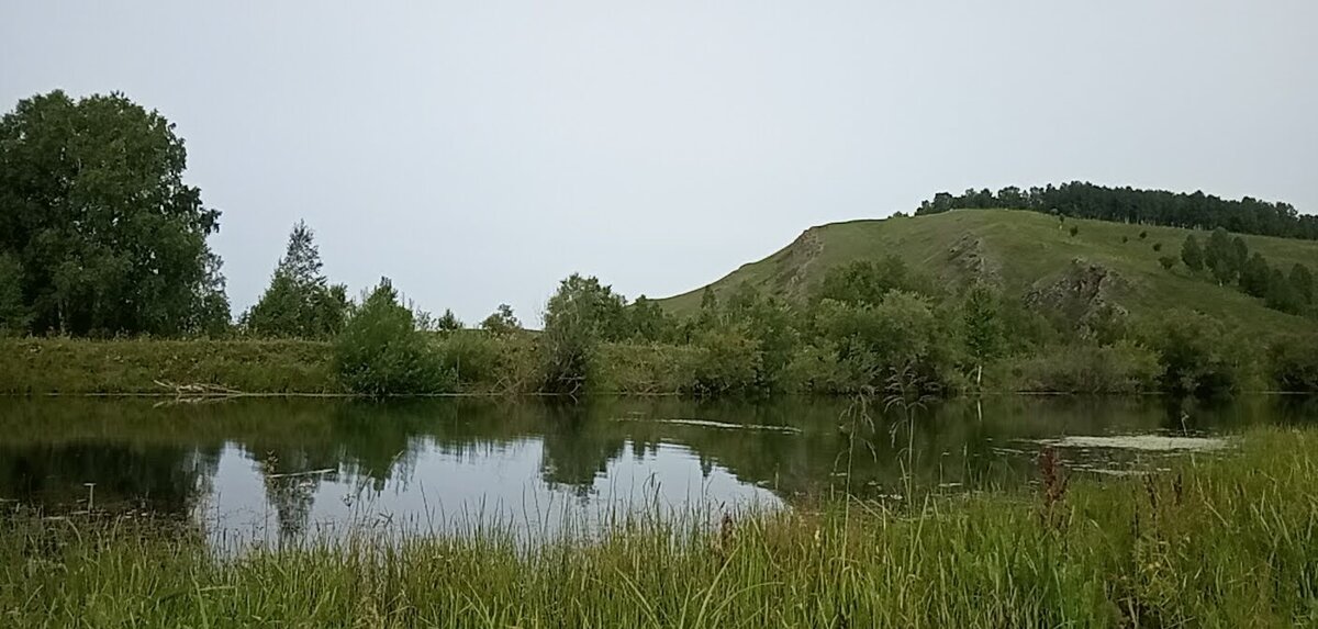 Летний пруд