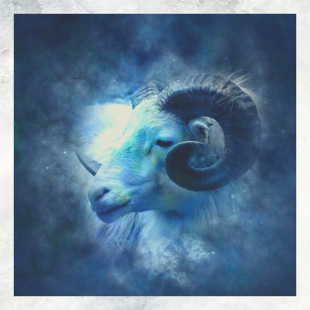 Фото и информация взяты со страницы инстаграмм @cvetok_talisman