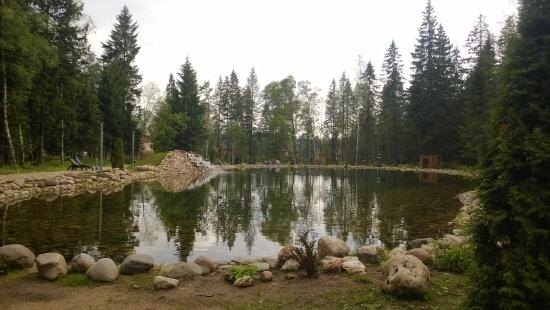 Фото из интернета