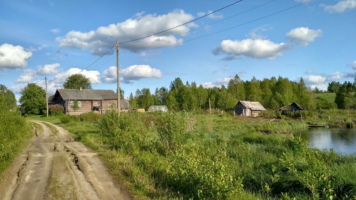 Кукасово летом 2018 года