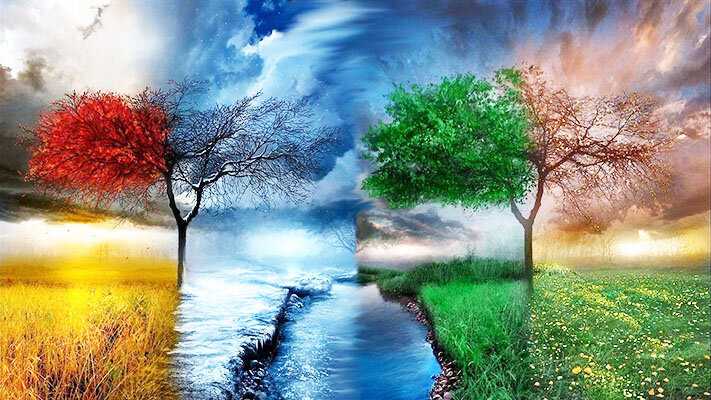 Взято из открытого источника в Яндексе