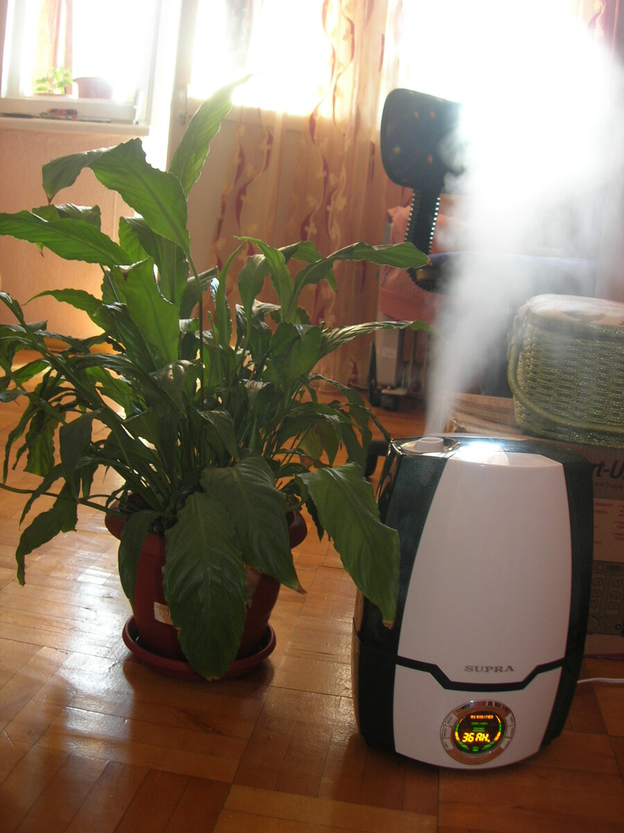 Ультразвуковой увлажнитель воздуха Supra HDS-205