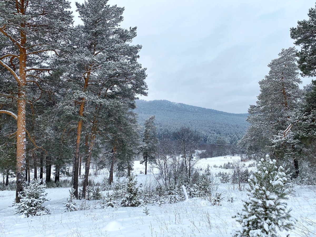 Вид на Малиновую