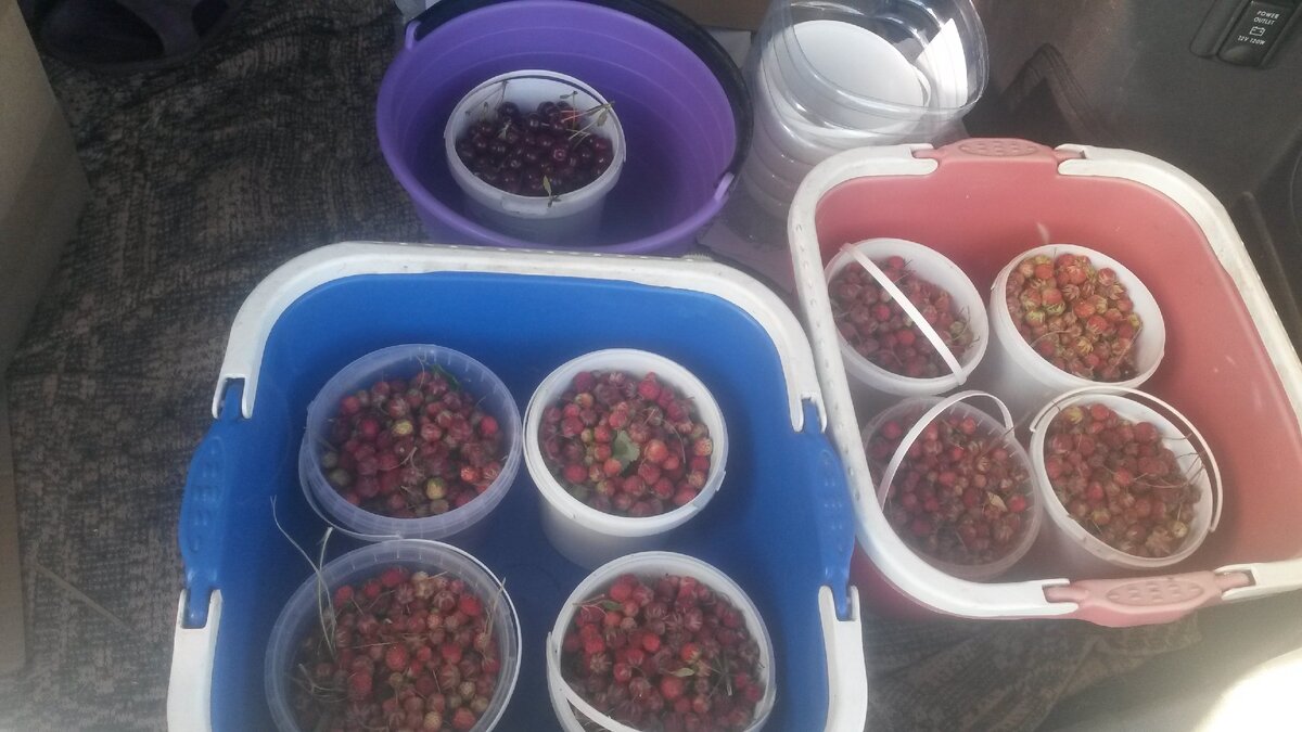 А еще и крупная какая! А в багажнике еще столько места!