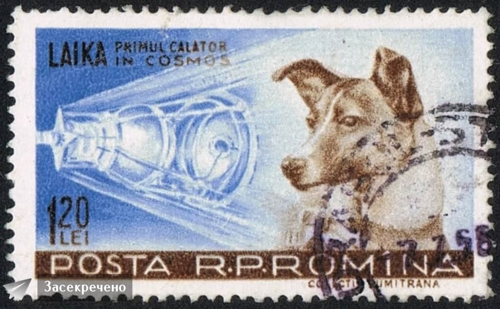 с интернета