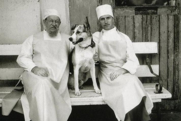 На съемках "Собачьего сердца"