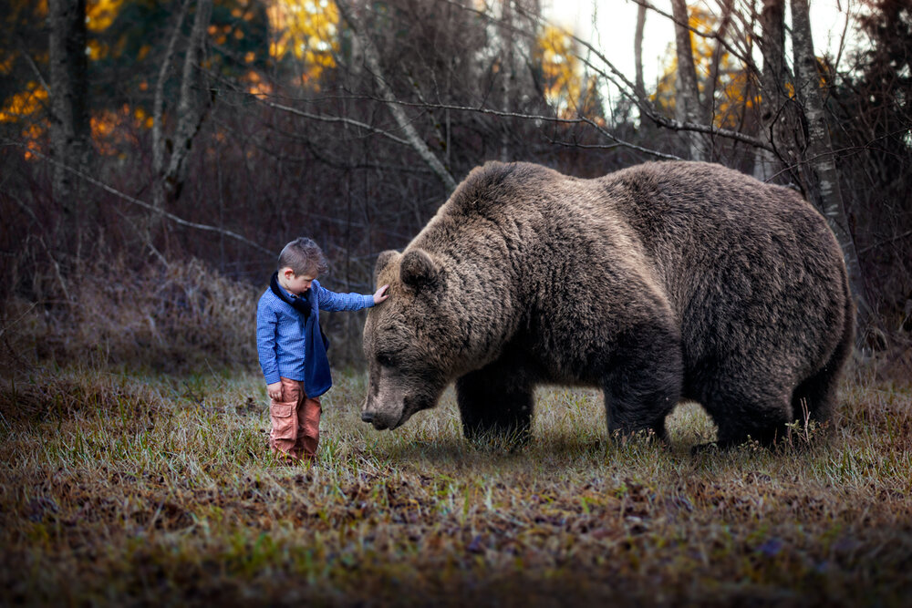 Большой медведь в лесу