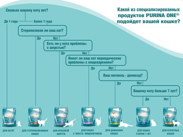 Критерии выбора корма для кошки