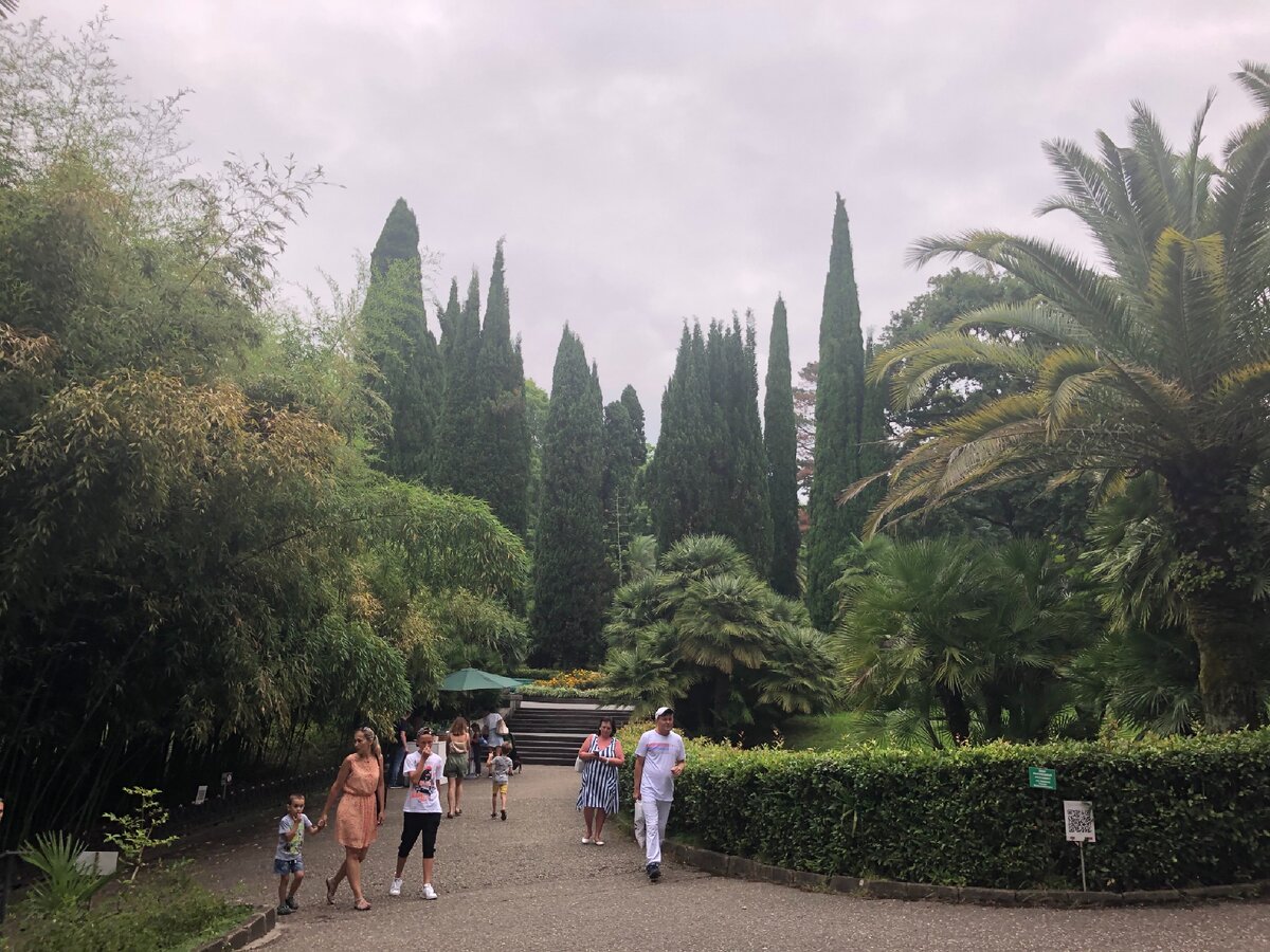 Мое путешествие в Сочи