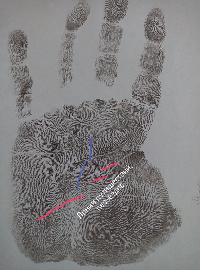 Линии путишествий и переездов 