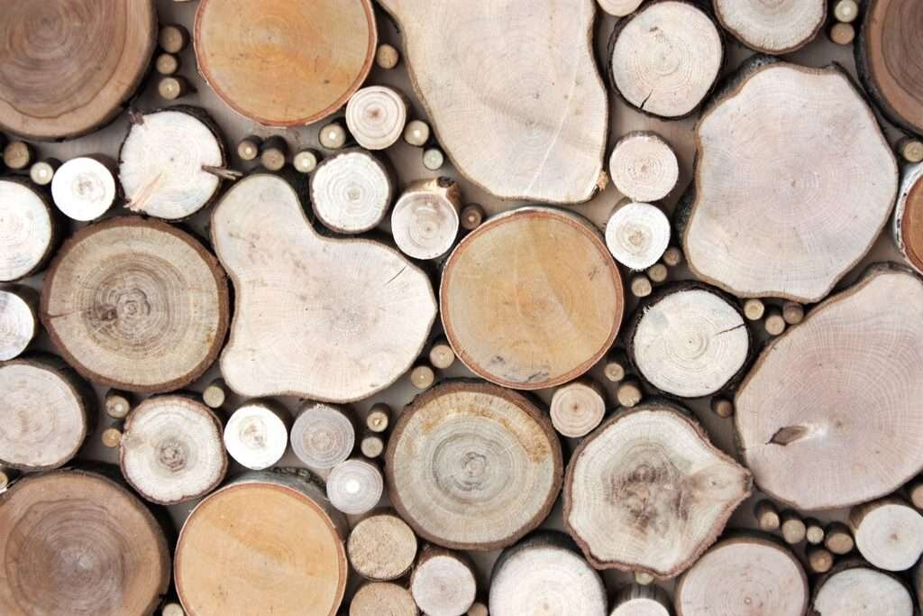 Спил деревьев – как правильно подготовить материал к использованию, варианты изделий