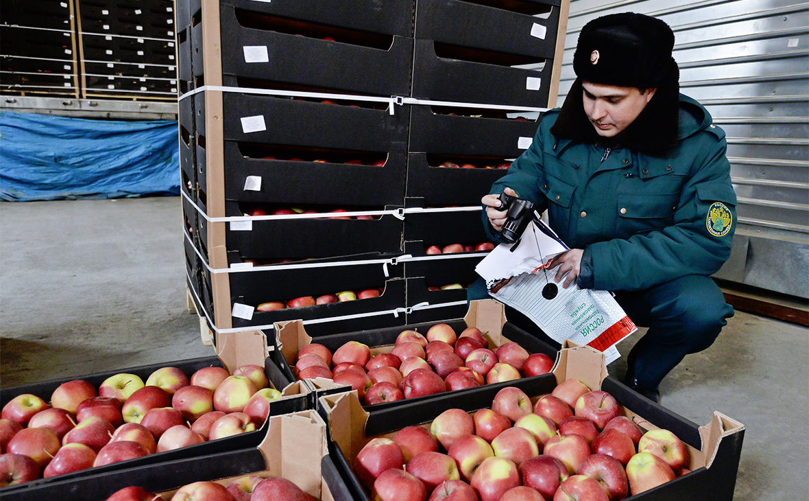 Россельхознадзор фрукты. Продовольственное эмбарго. Импорт овощей и фруктов.